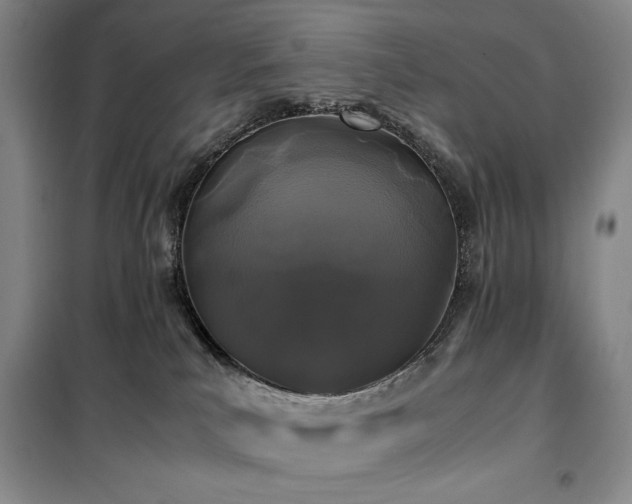 X0000100380039200806061229