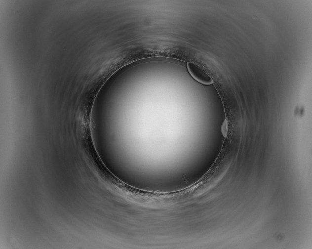 X0000100380040200806061229