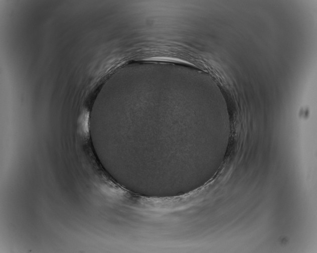 X0000100380041200806061229