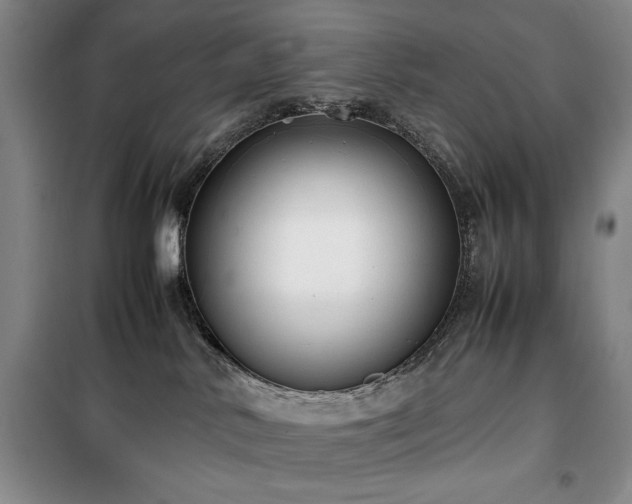 X0000100380042200806061229