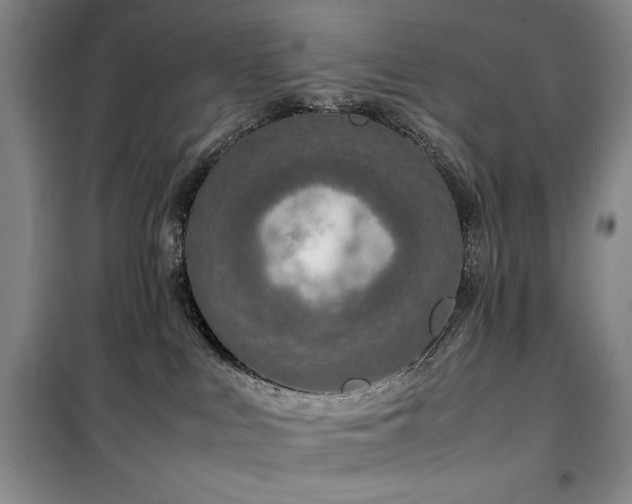 X0000100380043200806061229