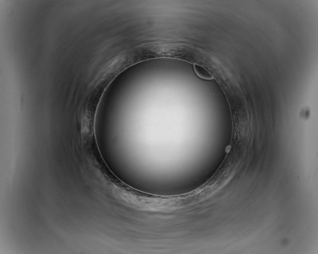 X0000100380044200806061229
