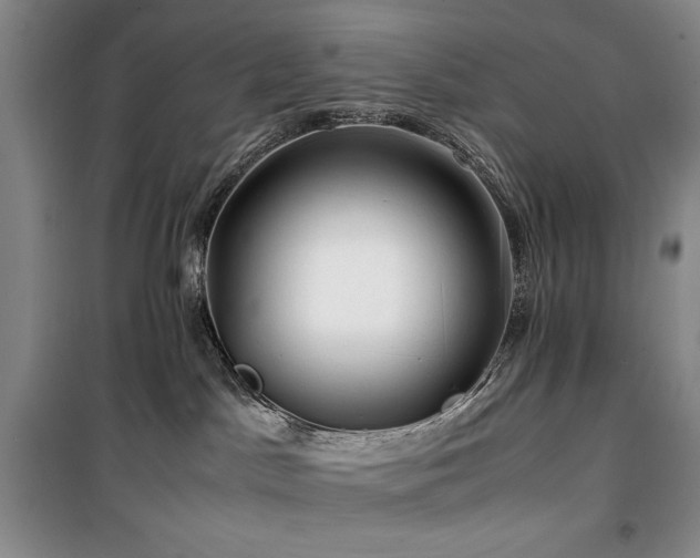X0000100380045200806061229