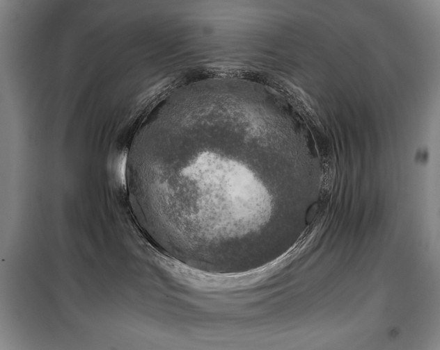 X0000100380047200806061229