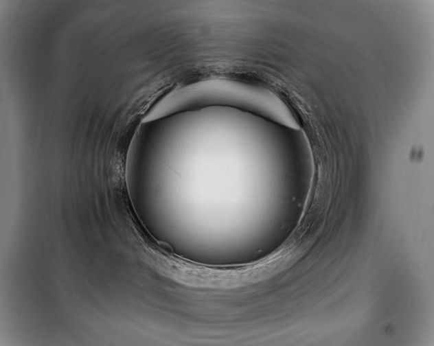 X0000100380048200806061229
