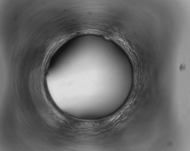 X0000100380049200806061228