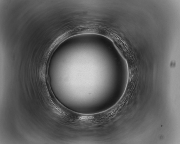 X0000100380051200806061228