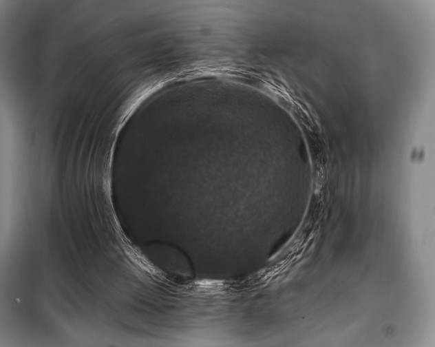 X0000100380052200806061228