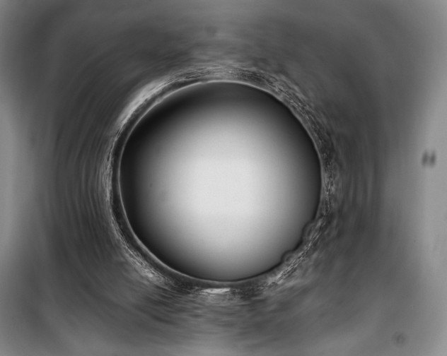 X0000100380054200806061228