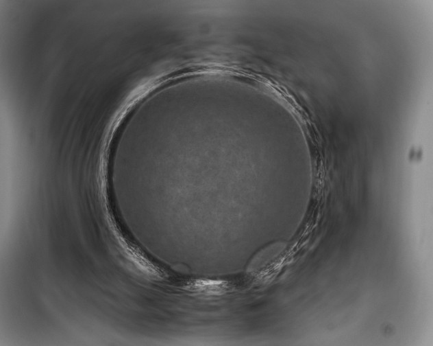 X0000100380055200806061228