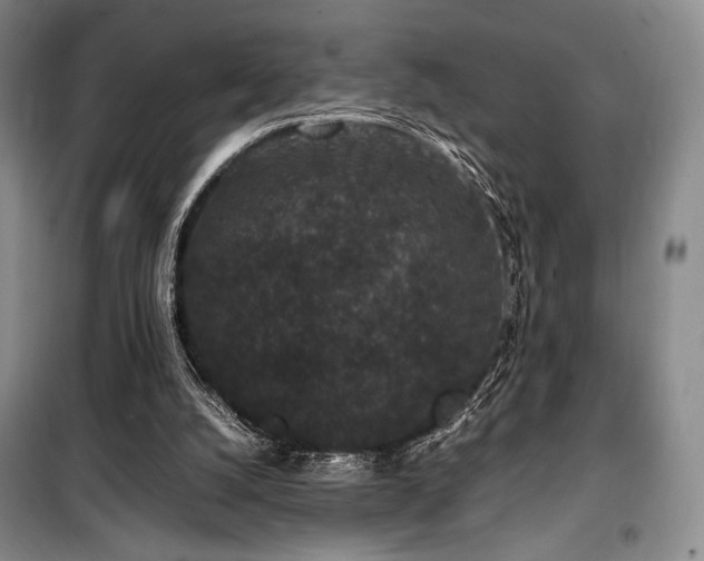 X0000100380056200806061228