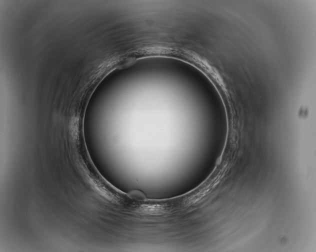 X0000100380057200806061228