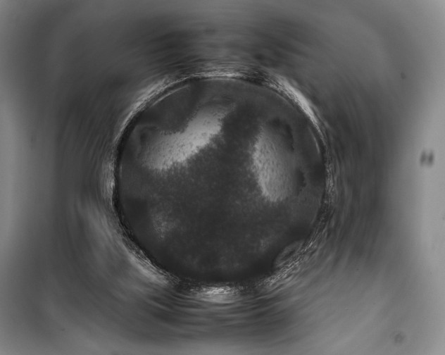 X0000100380059200806061228