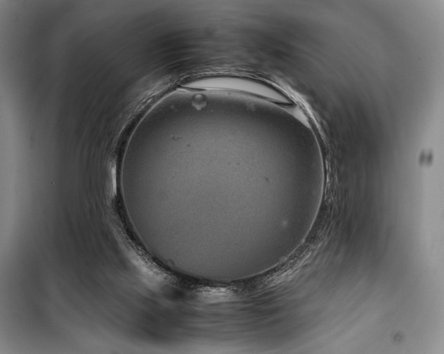 X0000100380061200806061228