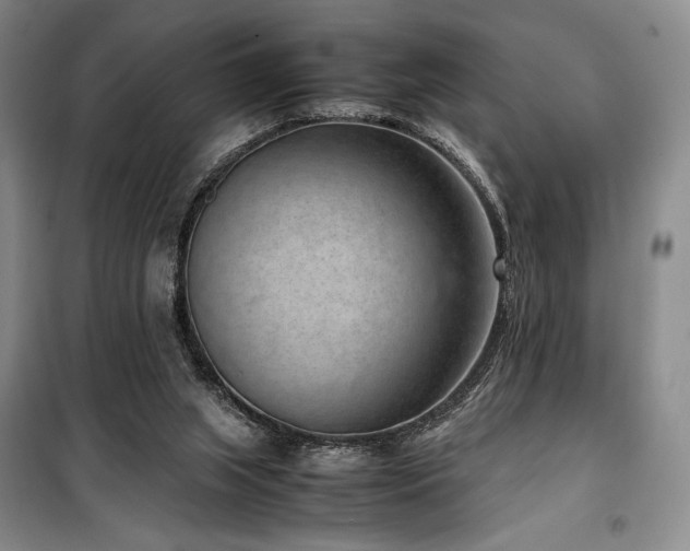 X0000100380063200806061228