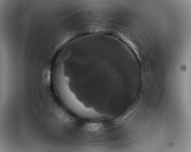 X0000100380067200806061228
