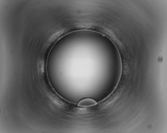 X0000100380068200806061228