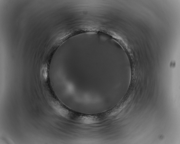 X0000100380069200806061228