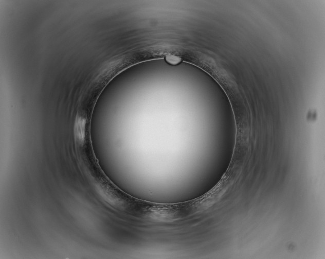 X0000100380070200806061228