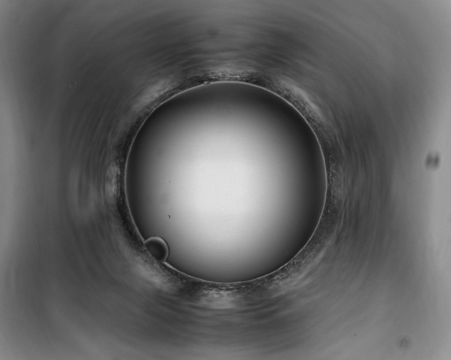 X0000100380071200806061228