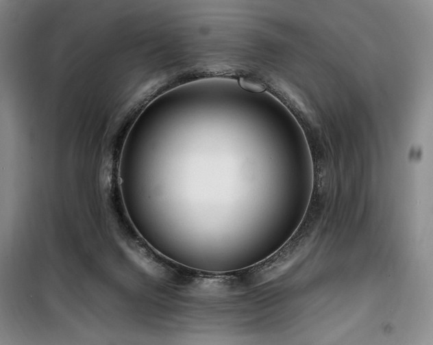 X0000100380072200806061228