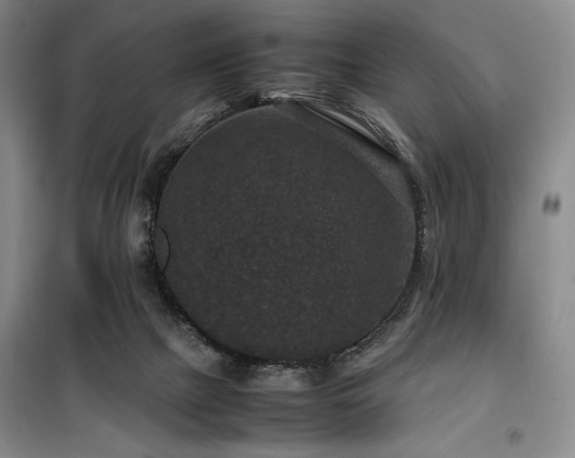 X0000100380073200806061228