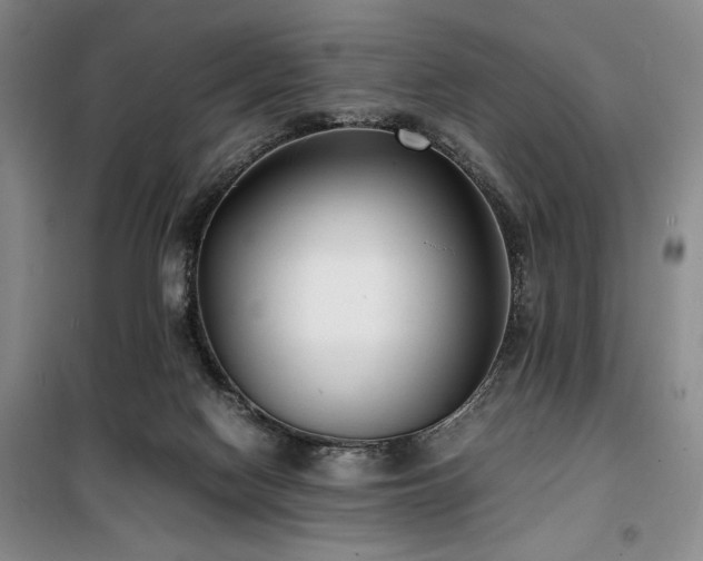 X0000100380074200806061228