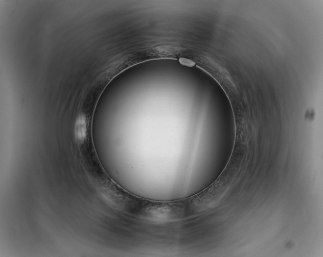 X0000100380075200806061228