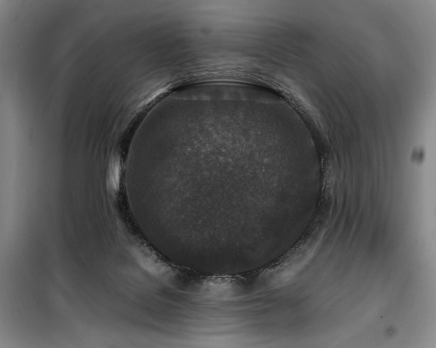 X0000100380076200806061228