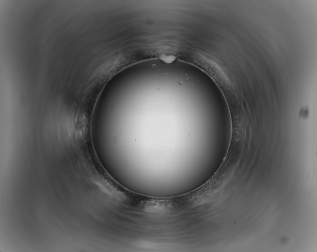 X0000100380077200806061228