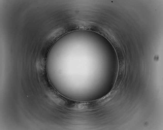 X0000100380078200806061228