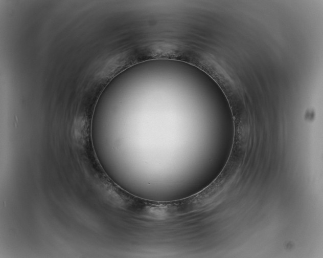 X0000100380079200806061228