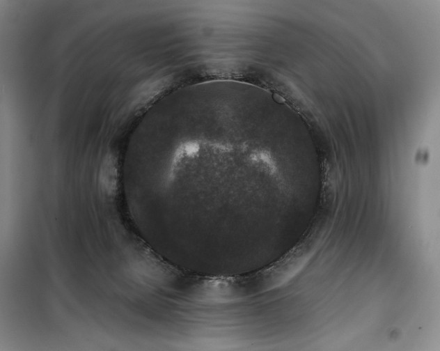 X0000100380080200806061228