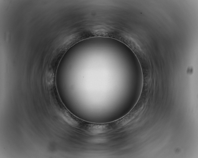 X0000100380081200806061228