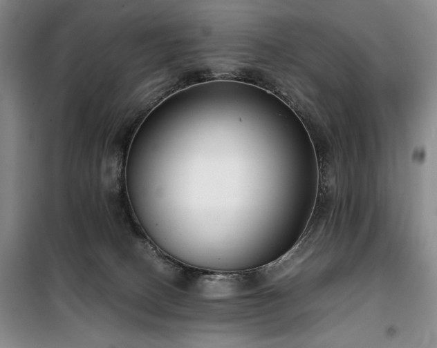 X0000100380082200806061228