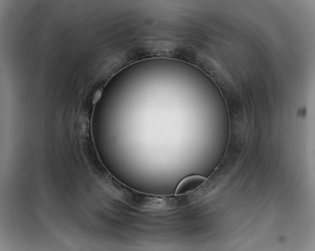 X0000100380083200806061228