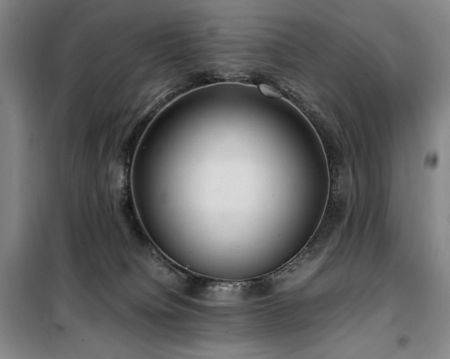 X0000100380084200806061228