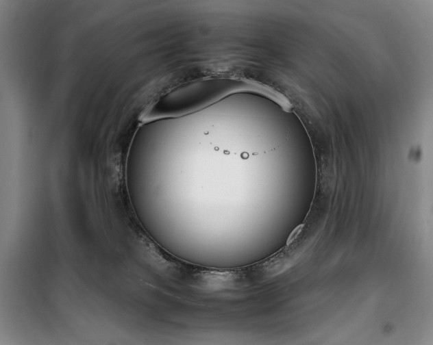 X0000100380085200806061228