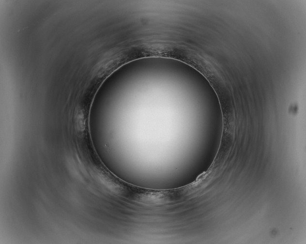 X0000100380086200806061228