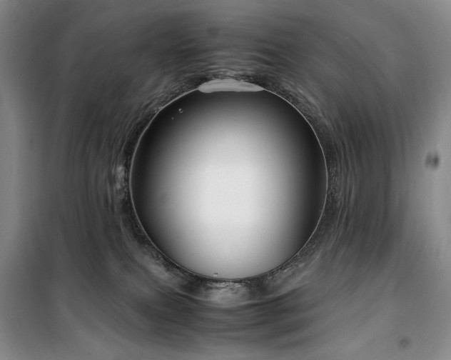 X0000100380087200806061228