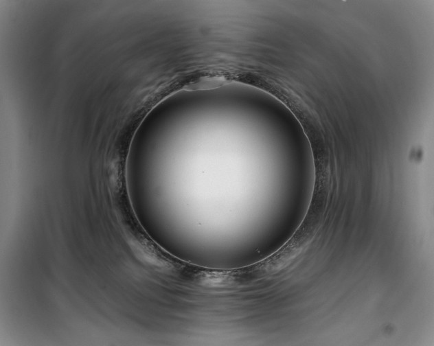 X0000100380088200806061228