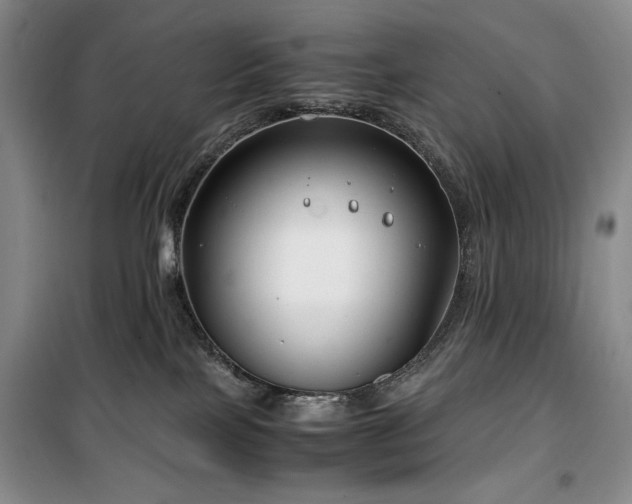 X0000100380089200806061228