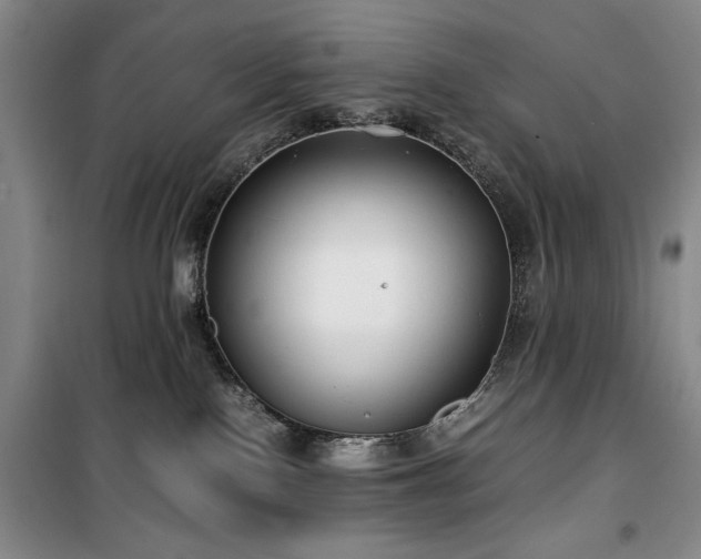 X0000100380090200806061228