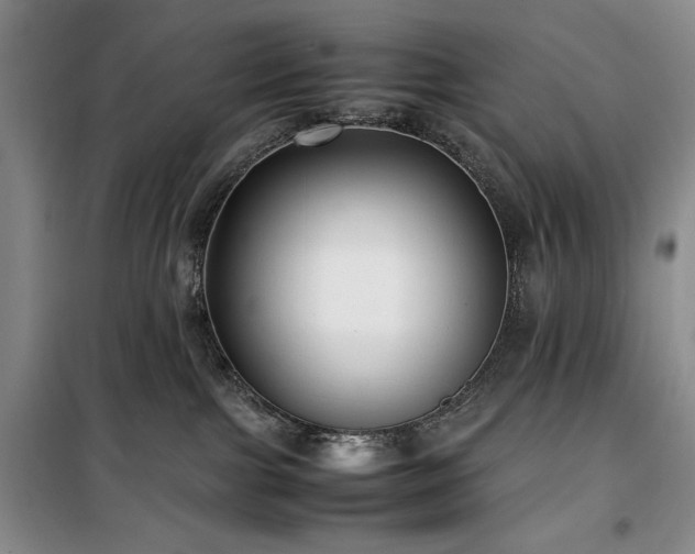 X0000100380091200806061228