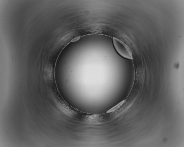 X0000100380092200806061228