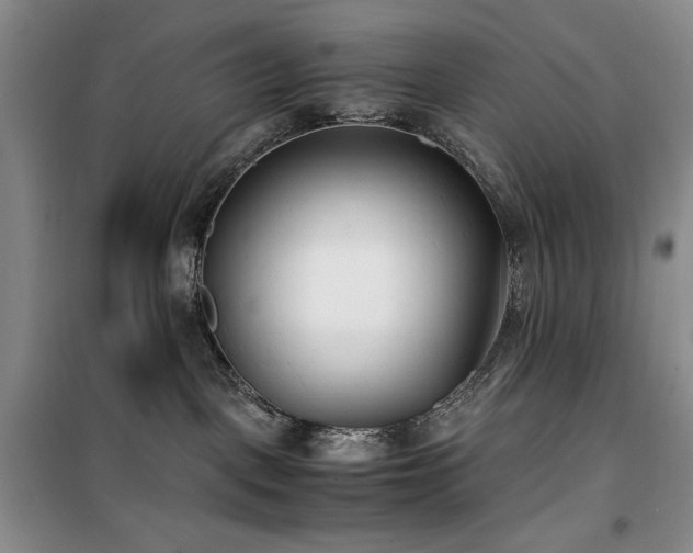X0000100380093200806061228