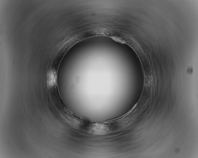 X0000100380095200806061228