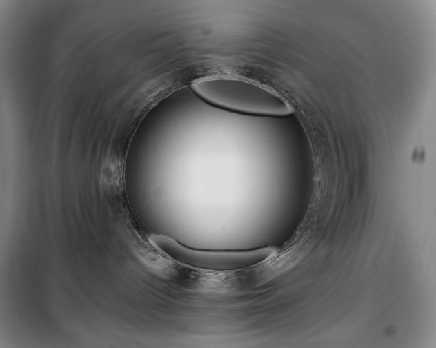 X0000100380096200806061228