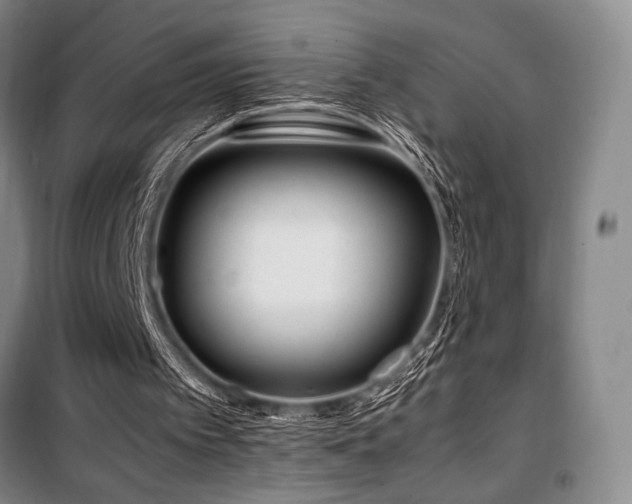 X0000100380097200806061228