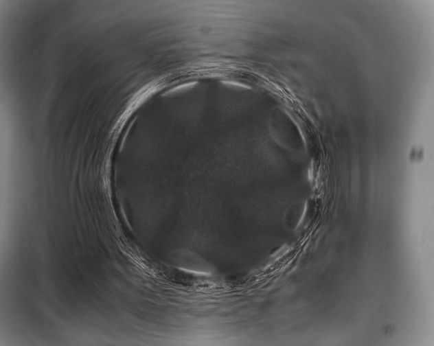 X0000100380099200806061228